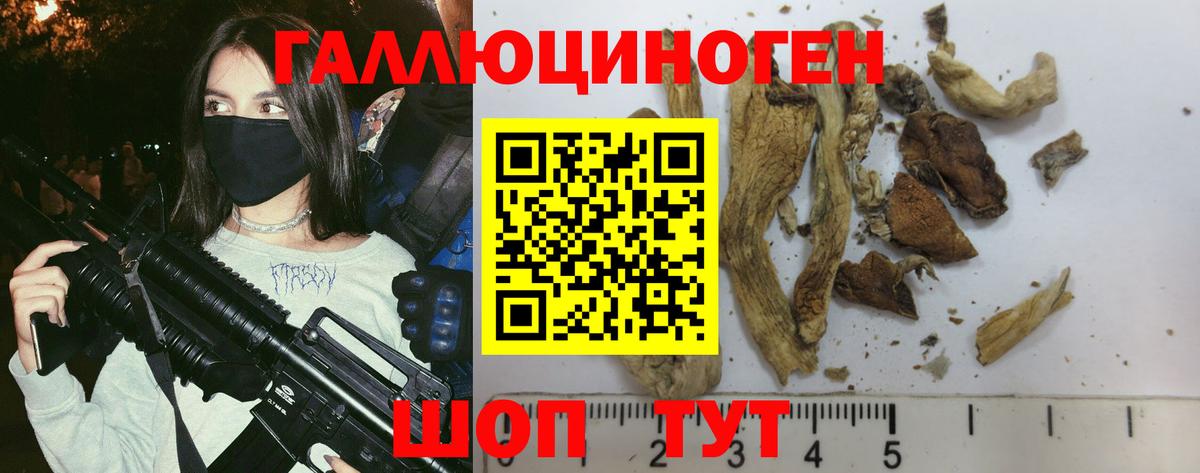 Галлюциногенные грибы прущие грибы  Вход с VPN  Изобильный 